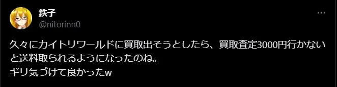 カイトリワールド 評判