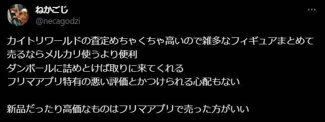 カイトリワールド 評判