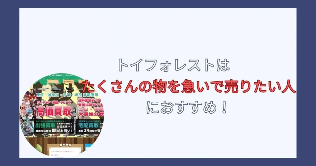 トイフォレストの評判を調査した結果まとめ